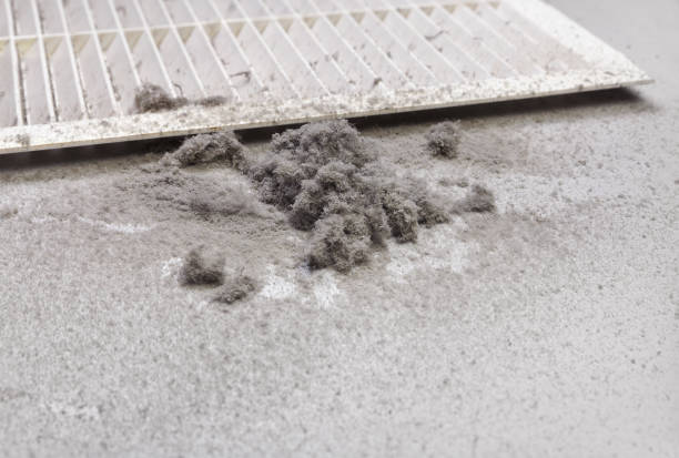 Best Residential Air Duct Cleaning  in Dash Point, WA