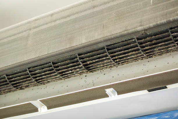 Best Dryer Vent Cleaning Services  in Dash Point, WA